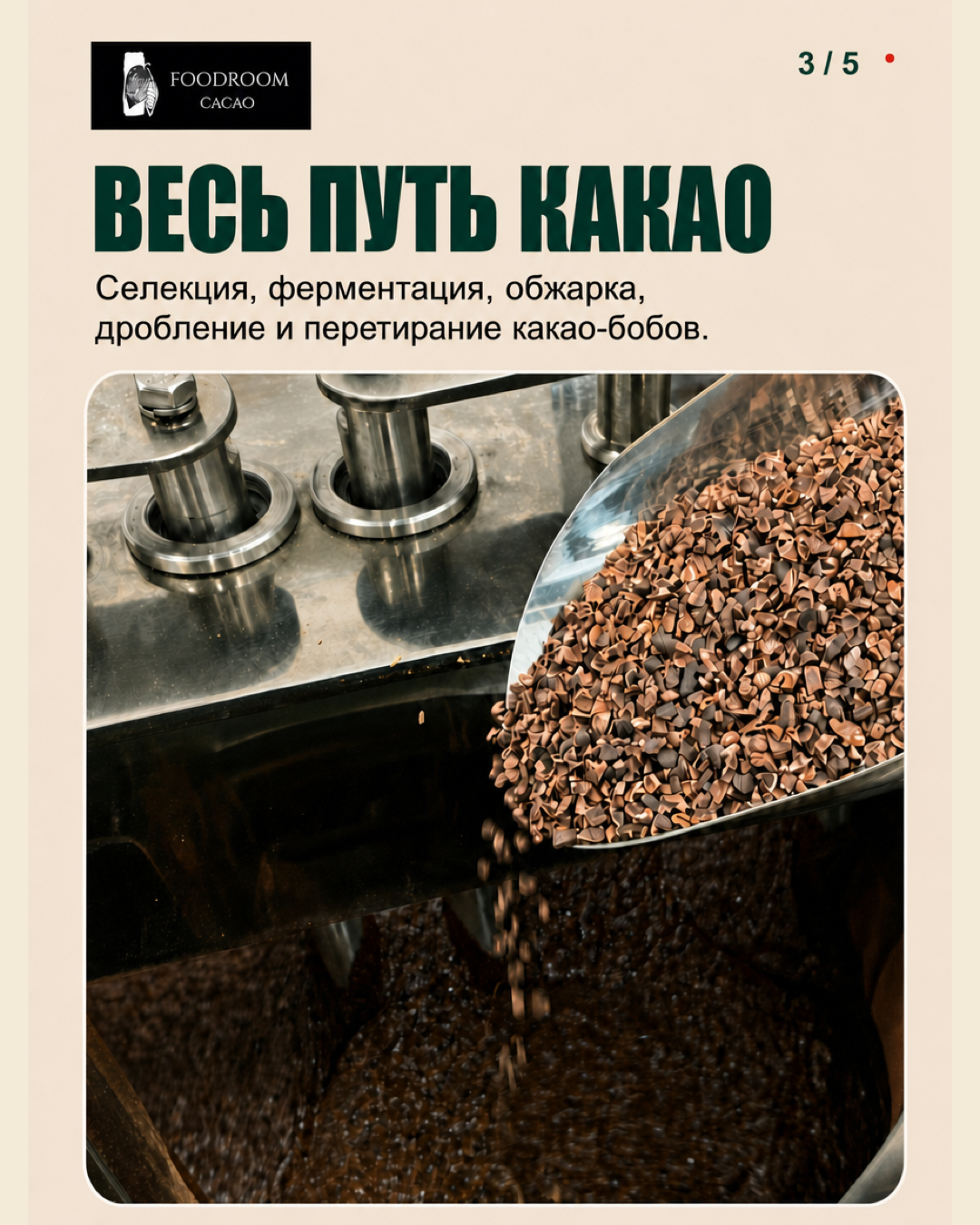 Этапы производства какао FOODROOM CACAO